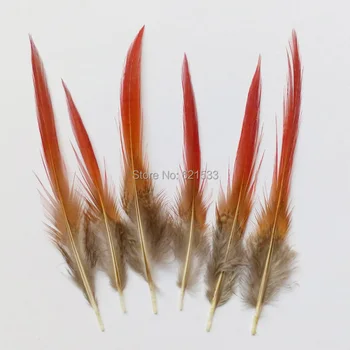 100 szt./lot 4-6 cm długości 10-15 cm фазаньи pióra,złote фазаньи pióra, czerwony końcówka, pasy pióro, lot.