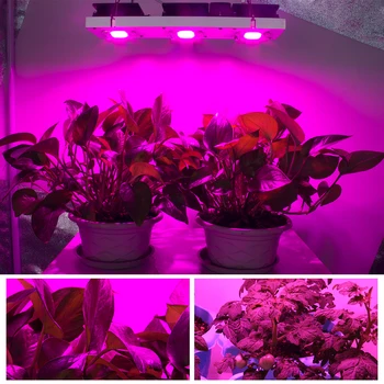 COB LED Grow Light Full Spectrum Actual Power 50W 100W 150W 200W LED Plant Grow Lamp for Indoor Plants Veg & Flowing Stage