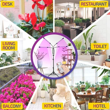 LED Grow Light With Tripod Stand Full Spectrum Grow Light With Timer And Remote Control For Floor Plant Flowers IndoorPhyto Lamp